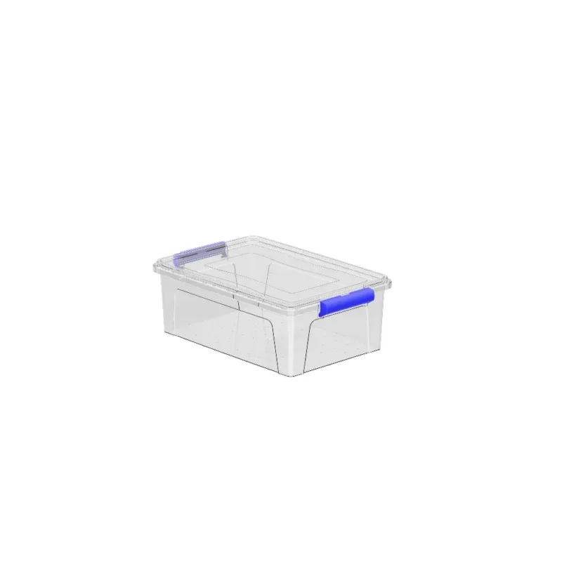 Clear Box Box portaoggetti 2 L