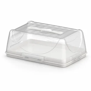 Rectangular Cake container